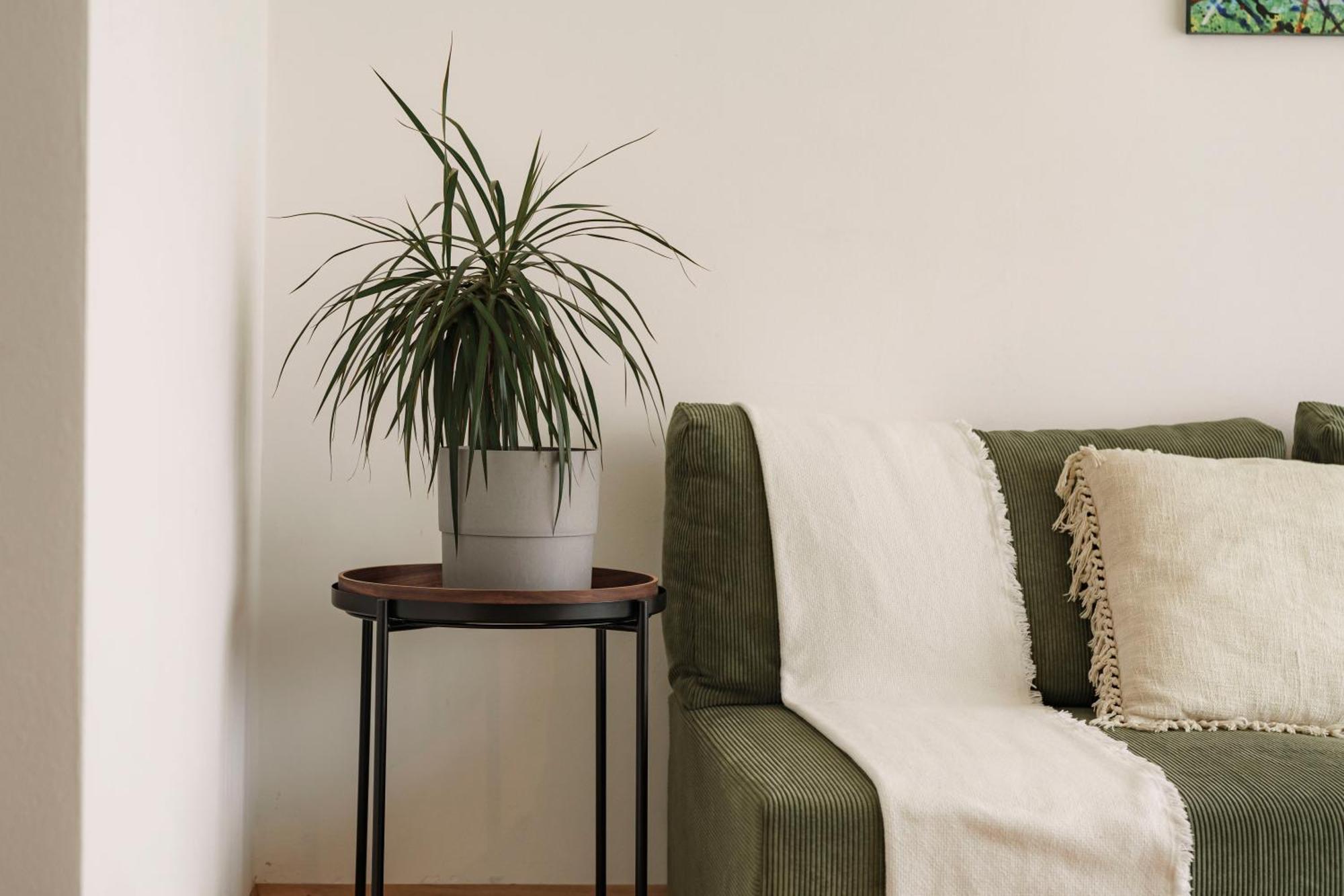 Mountain View Suites Tisens 外观 照片